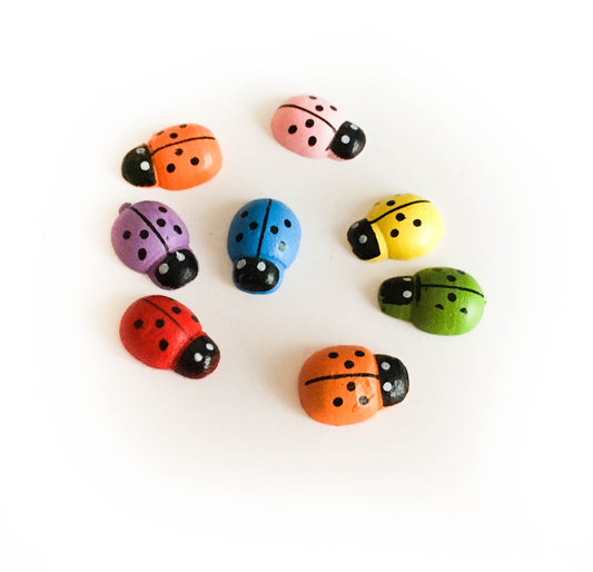 Vegyes színes katica